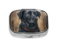 Black Labrador,Meta Pill Box 2 Compartment Medicine Case,Portable Organizer