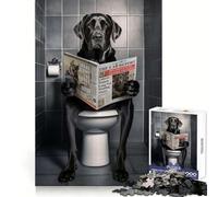 Black Labrador on Toilet 1000 Piece Jigsaws for Adults Puzzle Brain Wellness Time Well Spent Perfect Lock Birthday Present (38x52cm)
