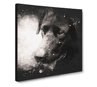 Black Labrador Paint Splash Canvas Print | Gallery Wrapped 30mm Frame Wall Art | 14x14 inches | Ready to Hang | Modern Animal Picture | Living Room Bedroom Lounge Office