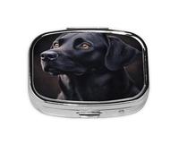 Black Labrador Pattern Pill Case Pill Box Travel Pill Organizer Small Square Medicine Box for Purse & Pocket Gifts