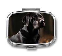 Black Labrador Pill Box 2 Compartment Portable Pill Case Daily Square Pill Organizer for Pocket Purse Daily Medicine Container to Hold Vitamins Fish Oil Travel Gifts