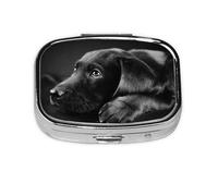 Black Labrador Puppy Art,Meta Pill Box 2 Compartment Medicine Case,Portable Organizer,Rectangle Meta Portable Organizer Pill Box 879 Compartment Medicine Case