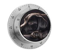 Black Labrador Puppy Kitchen Timer 60 Minute Visual Wind Up Timers Indoor Mechanical Timers with Magnetic Base Stainless Steel Timer for Home Cooking Time Management Tool