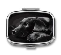 Black Labrador Puppy Pill Box 2 Compartment Decorative Metal Pill Case for Pocket Or Purse Travel Portable Medicine Box Pill Container Organizer for Vitamins Fish Oils Supplements