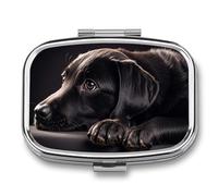 Black Labrador Puppy Pill Box - 2 Compartment Travel Pill Organizer with Small Mirror, Portable Pillcase for Pocket & Purse, Cute Square Medicine Case, Weekly Medicine Container