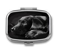 Black Labrador Puppy Pill Case Travel Portable Pocket Pill Box 2 Compartment Medicine Case Large Capacity Daily Pill Cases Vitamin Organizer Medicine Organizer Small Pill Box