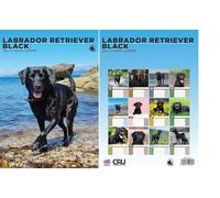Black Labrador Retriever 2026 Calendar - A3 Size 30 x 42 cm, 12 Months of Great Photography