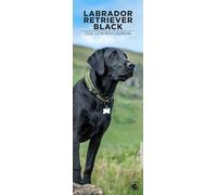 Black Labrador Retriever 2026 Wall Calendar, 12-Month Slim Format, Made in England