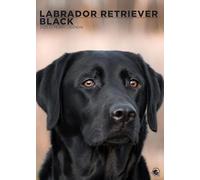 Black Labrador Retriever Calendar 2025
