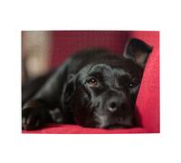 Black Labrador Retriever Pets Bokeh Black Dogs Adults 500 Pieces Puzzles-Jigsaw Wooden Puzzle for Adults Elderly