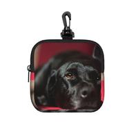 Black Labrador Retriever Pets Bokeh Black Dogs, Coin Purse Square Zipper Storage Bag, Change Pouch with Lobster Buckle Clasp Buckle, Change Purse