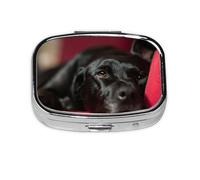 Black Labrador Retriever Pets Bokeh Black Dogs,Meta Pill Box 2 Compartment Medicine Case,Portable Organizer