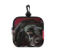 Black Labrador Retriever Pets Bokeh Black Dogs, Square Zipper Storage Bag, Neoprene Coin Purse, Small Wallets, Change Pouch, Change Purse