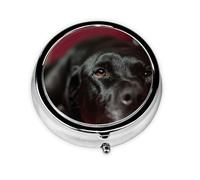 Black Labrador Retriever Pets Bokeh Black DogsMeta Pill Box 3 Compartment Medicine Case,Portable Organizer