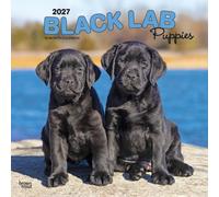 Black Labrador Retriever Puppies 2027 12 X 24 Inch (Hanging) Monthly Square Wall Calendar Plastic-Free: Original BrownTrout-Kalender [Mehrsprachig] [Kalender]
