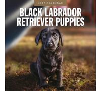 Black Labrador Retriever Puppies - 2027 Square Wall Calendar - by Red Robin Publishing