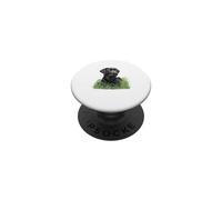 Black Labrador Retriever Sitting Green Grass Nature Art PopSockets Adhesive PopGrip