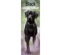 Black Labrador Retriever Slim 2025 Slimline Wall Calendar | Dog Breed Calendar
