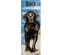 Black Labrador Retriever Slim 2027 Calendar | Slimline Wall Calendar | Dog Breed Gift | Plastic Free Packaging | by Avonside Publishing