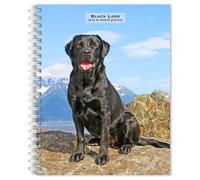Black Labrador Retrievers | 2026 6 x 7.75 Inch Spiral-Bound Wire-O Weekly Engagement Planner Calendar | New Full-Color Image Every Week | BrownTrout | Animals Dog Breeds