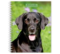 Black Labrador Retrievers | 2027 6 x 7.75 Inch Spiral-Bound Wire-O Weekly Engagement Planner Calendar | New Full-Color Image Every W rownTrout | Animals Dog Breeds