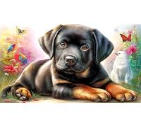 Black-Labrador-sitting_-white-background Jigsaw Puzzle 1000 Pieces Impossible Hard Difficult Educational Games for Adults Kids Great Gift Idea for Relaxation 38x52/1000pcs