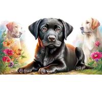 Black-Labrador-sitting_-white-background Puzzle for Adults 1000Pc Recycled Paper Beautiful Decoration Puzzle Challenging for Decompression and Wall Decor Great Gift Idea 38x52/1000pcs