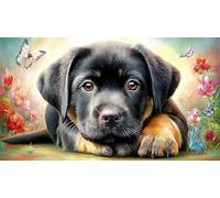 Black-Labrador-sitting_-white-background Puzzle for Adults Kids 1000 Pieces Challenging Puzzles Fun Present & Activity for Home Recycled Paper for Decompression and Wall Decor 70x50/1000pcs