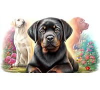Black-Labrador-sitting_-white-background Puzzle Game 1000 Pieces Educational Game Challenge Recycled Paper Challenging Puzzles for Relaxation, Creativity & Gift Giving 38x52/1000pcs
