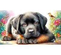 Black-Labrador-sitting_-white-background Recycled Paper Jigsaw Puzzle 1000 Pieces Great Gift Idea Educational Games for Women, Gifts for Men Beautiful Decoration Puzzle 38x26/1000pcs