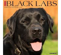 Black Labs 2025 Wall
