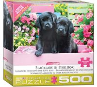 Black Labs in Pink Box Puzzle EuroGraphics Black Labs in Pink Box 50 (US IMPORT)