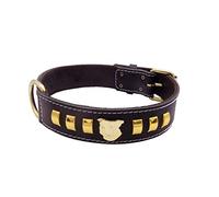 Black Leather Dog Collar with Unique Gold Design and Staffordshire Bull Terrier Head Motif 1.5" Wide (Large: 20" - 24")