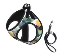 Black Lily Pads 1 Print Step in Dog Harness and Leash Set,Adjustable Reflective Harness for Small Dogs Cats