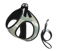 Black Lily Pads Print Dog Harness Small Sized And Leash Set, Step In Soft Light Puppy Vest Breathable Mesh Pet Harness
