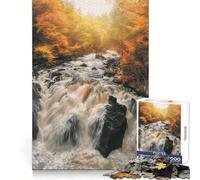 Black Linn Falls Hermitage 1000 Pieces Jigsaws Adults Puzzles Mind Power Mind Calming Fun Uniform Edges (38X26CM)