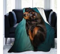 Black Long-Haired Dachshund Dog Fleece Throw - Lightweight, Super Soft, Cozy Bed - Warm Blanket for Living Room/Bedroom - All Season (60" x 50")