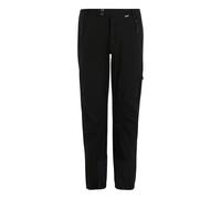 Black male 30 R Regatta Men's Mountain Walking Trousers Black, Size: 30 R