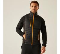 Black male 3XL Regatta Professional Men's Navigate Hybrid Gilet Black, Size: 3XL