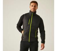 Black male S Regatta Professional Men's Navigate Hybrid Gilet Black, Size: S