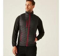 Black male S Regatta Professional Men's Navigate Hybrid Gilet Black, Size: S