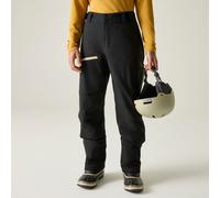 Black male XXL Dare 2b Men's Affinity Insulated Ski Pants Black, Size: XXL