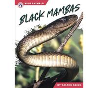 Black Mambas
