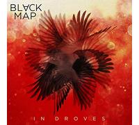 Black Map - In Droves [VINYL]
