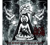 Black Mass Pervertor - Life Beyond the Walls of Flesh (Vinyl) [VINYL]