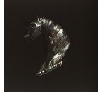 Black Math Horseman - Wylt [VINYL]
