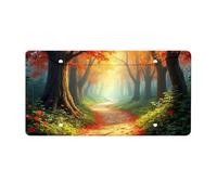 Black Metal License Plate Frame Autumnal Pathway In The Enchanted Forest License Plate Black Frames Red License Plate Frame