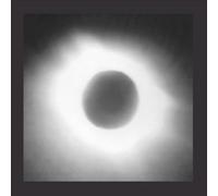 Black Meteoric Star - No More White Presidents [VINYL]