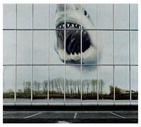 Black Mountain - Wilderness Heart