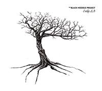 Black Noodle Project - Code 2.0